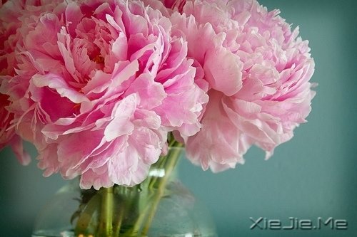 找一个理由，去否认忧伤 (3)