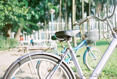 晚安心语：静守时光，以待流年 (4)