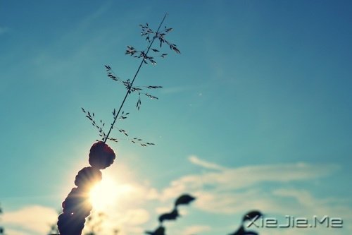 晚安心语：静守时光，以待流年 (10)