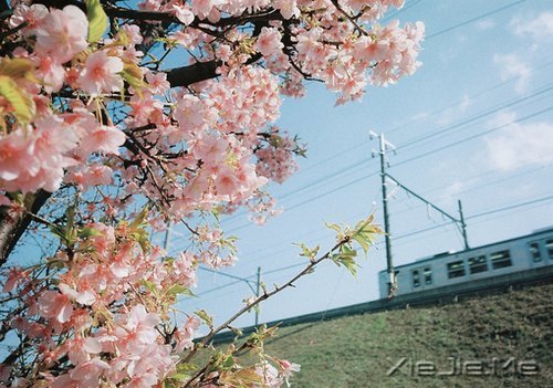 晚安心语：静守时光，以待流年 (5)