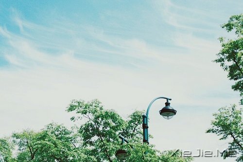 早安心语：人生与命运无关，与自己的选择有关 (8)