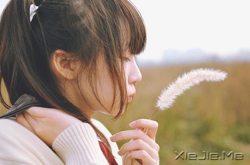晚安心语：如果你从未放弃，现实远比梦想美好 (10)