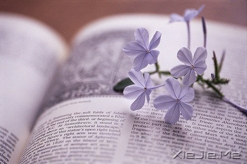 晚安心语：勇敢生活，微笑面对 (8)