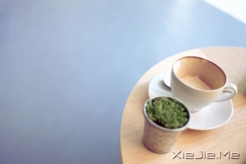 早安心语：我多害怕习惯了谁的好，然后又被无情的丢掉 (8)