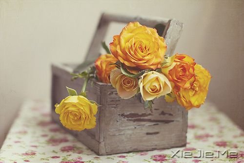 如果你累了，世界会给你一个拥抱 (6)