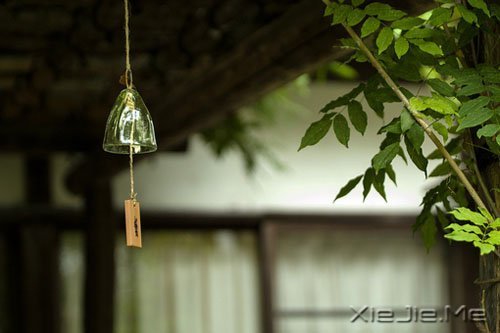 人生路上的十大奢侈品 (8)